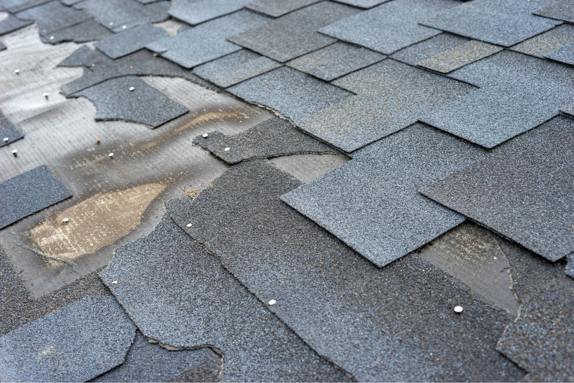 Easily Noticed Shingle Damage and Age