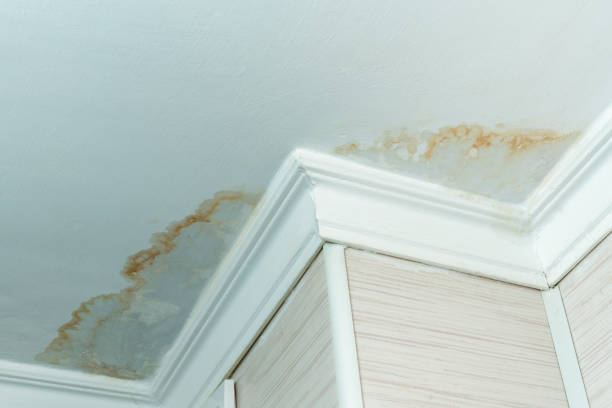 Water Stains On Your Ceilings

