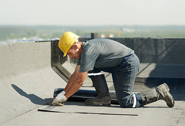Roof Maintenance