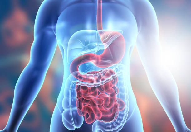 Digestive Health